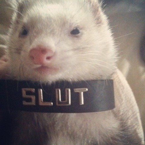 slut